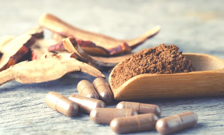 Astragalus ein vielfältiges Stärkungsmittel aus der TCM › Adler